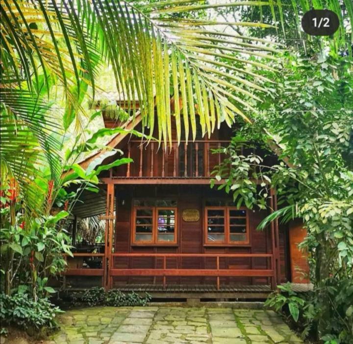 Trindade Sea&Forest Yoga Hostel Exterior foto