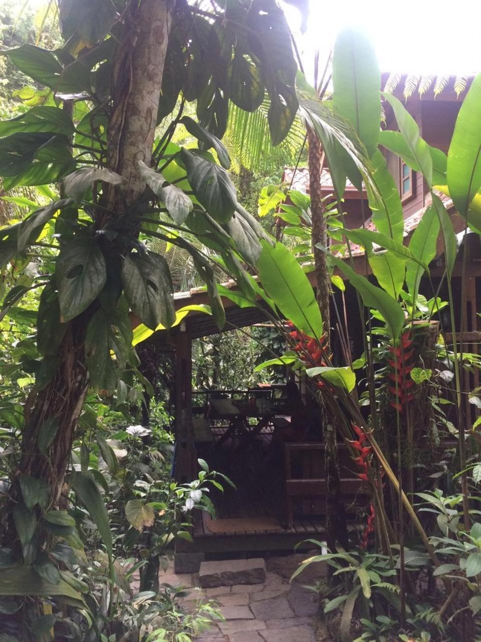 Trindade Sea&Forest Yoga Hostel Exterior foto